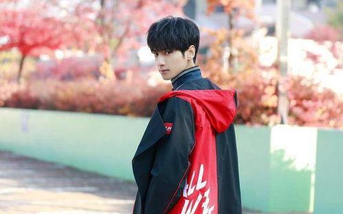 娱乐大爆料罗云熙,娱乐大爆料中的璀璨星辉 第3张 娱乐大爆料罗云熙,娱乐大爆料中的璀璨星辉 第3张